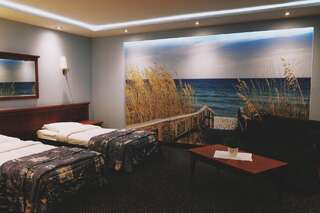 Мини-отель Restauracja Hotel Paradise Чаплинек Улучшенный двухместный номер с 1 кроватью-2